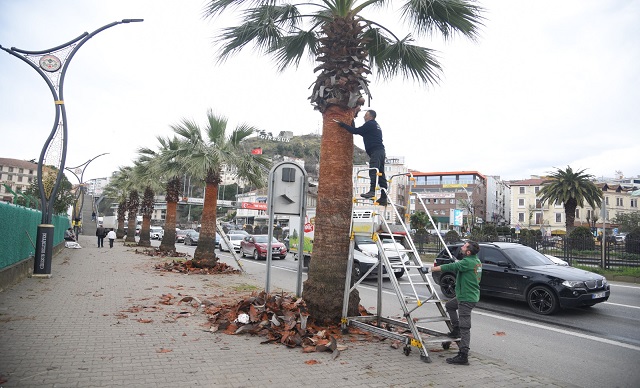 AĞAÇLARA NEFES ALDIRAN ÇALIŞMA