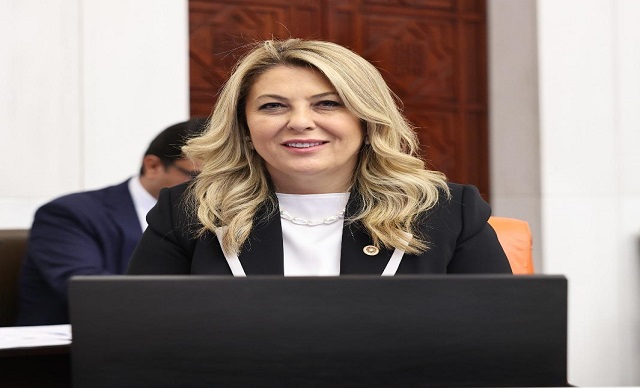 MİLLETVEKİLİ GEZMİŞ HÜKÜMETİ GÖREVE ÇAĞIRDI: