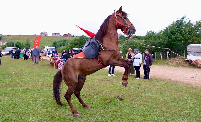 ÇAMBAŞI YAYLASINDA RENKLİ FESTİVAL