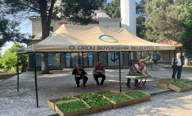 ÇİÇEK FİDESİ DAĞITTI