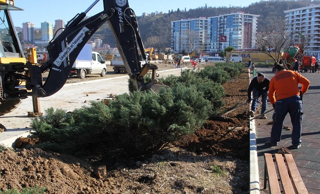 DOĞUPARK’TA AĞAÇLANDIRMA