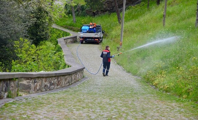 Giresun Kalesi'nde İlaçlama Çalışması Gerçekleştirildi