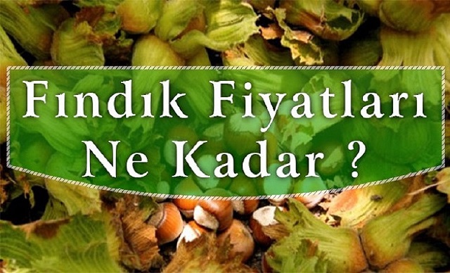 Fındık Fiyatı Ne Kadar