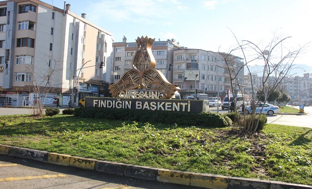 FINDIK OCAKLARI DİKİLİYOR!