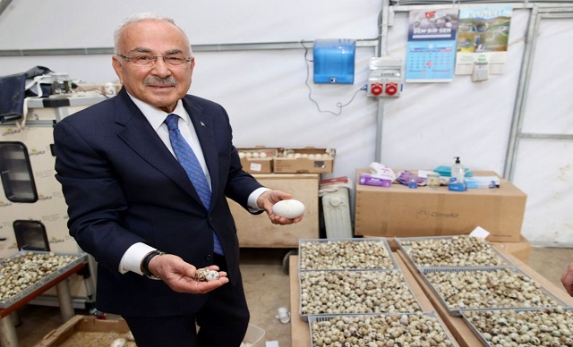 KENDİ KENDİNE YETEN ORDU