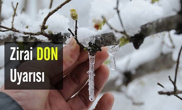 Meteoroloji'den Zirai Don Uyarısı!